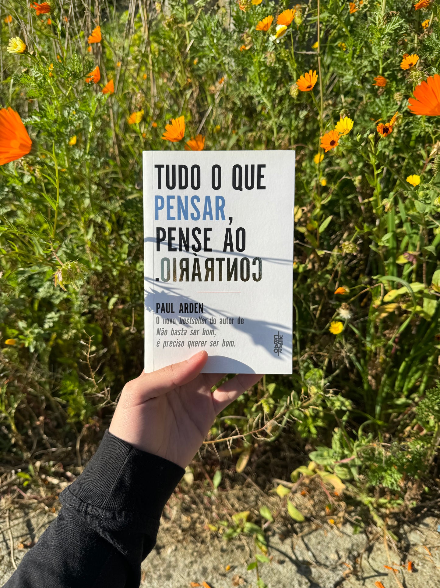 Tudo o que Pensar, Pense ao Contrário | Paul Arden (Segunda Vida)